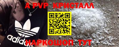 твердый Гатчина