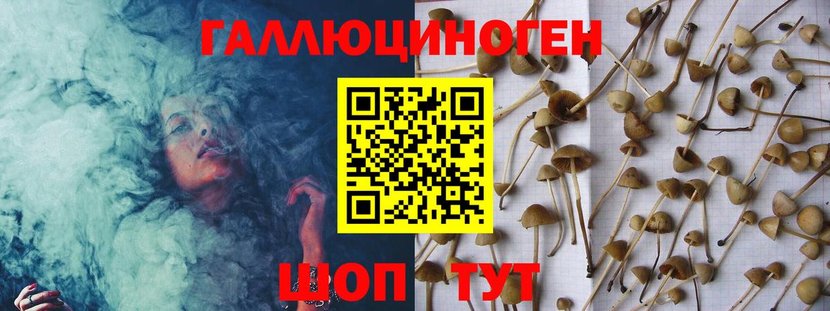 Псилоцибиновые грибы прущие грибы  Вход с VPN  Псилоцибиновые грибы GOLDEN TEACHER  магазин продажи   Березники 